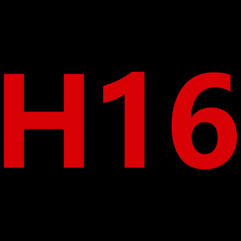 H16