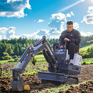 Miniexcavadora de bajo consumo de combustible de 2.5 toneladas EPA CE 5, excavadoras pequeñas chinas 1 2, motor de oruga para granja y jardín, en venta - Product Image 1