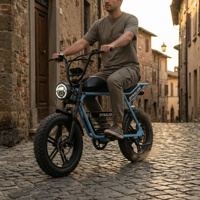Vélo électrique abordable de haute qualité avec écran LCD, vélo électrique Scrambler à pneus larges pour les navetteurs soucieux de leur budget