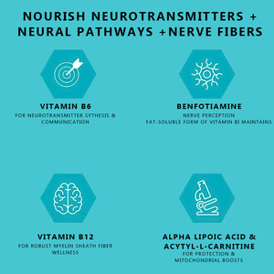 OEM神経ウェルネスサプリメントは、末梢神経の健康を回復させ、しびれとうずき高度な神経サポートカプセルを緩和します - Product Image 4