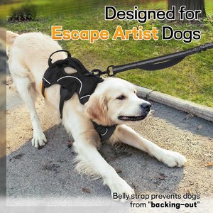 Arnés Personalizado para Mascotas, Arnés Antiescape para Perros, Ajustable, Reflectante, Sin Tirones, con Asa de Elevación y Clip para Correa, para Uso en Exteriores - Product Image 4