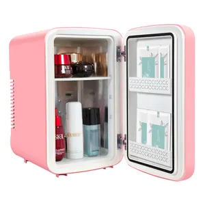 10L skincare fridge beauty low price wholesale makeup refrigerador portatil mini fridge 10 liter