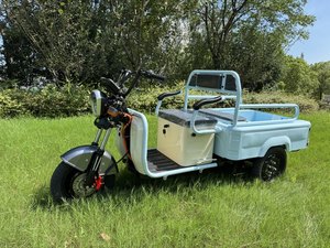 Tricycle électrique à double fonction pour le transport de marchandises <span class=keywords><strong>et</strong></span> de passagers, robuste, pour le transport en supermarché/la vente ambulante/l'agriculture/l'usage domestique - Product Image 1
