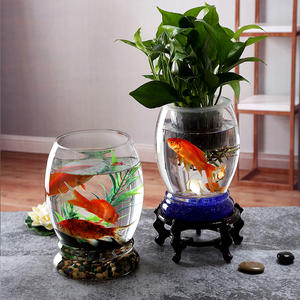 Pot de fleurs en verre pour <span class=keywords><strong>Aquarium</strong></span>, pièces, <span class=keywords><strong>Aquarium</strong></span> pour poissons - Product Image 5