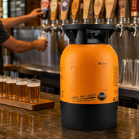Fût de bière réutilisable en plastique léger 30L, HDPE de qualité alimentaire, pressurisé 15 bars, demi-fût en acier, vente en gros