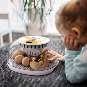 Incubateur à <span class=keywords><strong>œufs</strong></span> entièrement <span class=keywords><strong>automatique</strong></span> Wonegg, nouvelle conception, meilleure qualité, vente chaude, pour l'éclosion des <span class=keywords><strong>œufs</strong></span> - Product Image 6