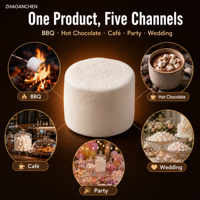160g Hete Aanbieding Grote Geroosterde Marshmallows Laag in Suiker Vetvrij Zachte Kauwbare Groothandel voor Kampvuur S'mores Warme Chocolade