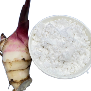 Arrowroot <b>Starch</b> Powder White Fine Granules for Food and Industrial Use - Product Image 6