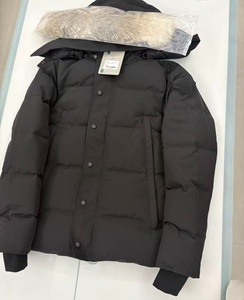 Veste d'hiver classique de haute qualité, chaude et résistante au vent, avec fourrure de coyote, parka <span class=keywords><strong>canadienne</strong></span> pour homme, veste en duvet d'<span class=keywords><strong>oie</strong></span> - Product Image 5