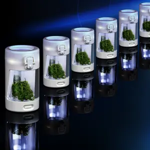 定制标志2024新设计放大罐发光二极管透明圆形玻璃容器香草储物罐