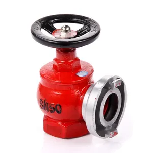 Single valve indoor fire hydrant SNW65 fire hydrant