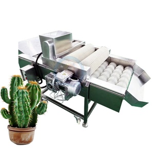 Máquina Despuntadora de <span class=keywords><strong>Cactus</strong></span> Integrada Sin Daños, Equipo Robusto y Moderno para el Procesamiento de Nopal - Product Image 1