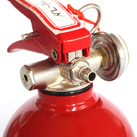 Mini aspirateur de feu portable, poudre abc, pour la sécurité de la maison et de la voiture, nouveau design livraison gratuite