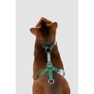 Harnais de marche réfléchissant en nylon pour chat, anti-évasion et ajustable, pour l'exploration libre - Product Image 1