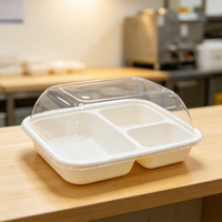 Boîte en blister PET de qualité alimentaire blanche, personnalisable pour le fromage, le gâteau, les pâtisseries, les mooncakes, les sandwichs, emballage en portions pour l'usine