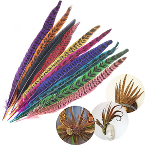 Vente en gros de plumes teintes de queue de faisan 10-35 cm naturelles pour chapeaux de chapellerie - Product Image 3