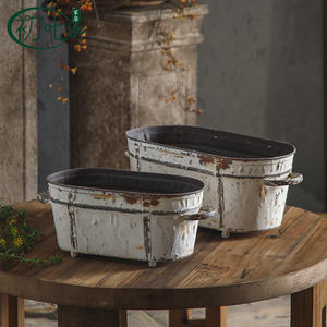 Ensemble de pots à fleurs en fer vieilli pour la décoration de la maison et du jardin, style européen, avec plantes succulentes - Product Image 3