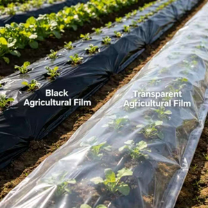 <span class=keywords><strong>Film</strong></span> de serre biodégradable sur mesure en PLA PBAT, souple, anti-goutte, pour la protection des cultures agricoles, <span class=keywords><strong>film</strong></span> de paillage biodégradable - Product Image 5