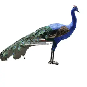 Life Size Peacock Statue For Wedding Decoration