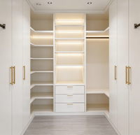 Dressing semi-ouvert personnalisable avec éclairage LED pour chambres de luxe, armoire intégrée élégante avec quincaillerie dorée