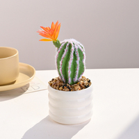 Plante artificielle en pot, cactus miniature de 25 cm, en soie, pour décoration intérieure, accessoire de photographie, fleur de mariage