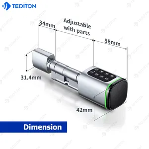 Cost-effective TTlock or Tuya system European universal intelligent lock cylinder smart cylinder lock