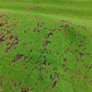 Kích Thước Tùy Chỉnh Nhân Tạo Nhà Máy <span class=keywords><strong>Moss</strong></span> Bảng Điều Chỉnh Giáng Sinh/Halloween Tường Trang Trí <span class=keywords><strong>Moss</strong></span> Vỏ Cây Cỏ UV Kháng - Product Image 5