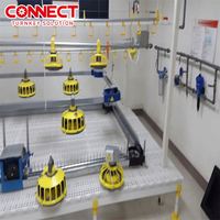 Équipement d'élevage de volaille entièrement automatique pour poulailler/poulailler d'élevage de poulets de chair avec mangeoires efficaces pour oiseaux de poulet