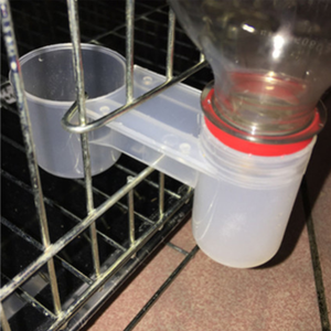 Tazas para pájaros y loros, paloma con Dos Bocas, <span class=keywords><strong>fuente</strong></span> <span class=keywords><strong>de</strong></span> agua automática para piloto - Product Image 4