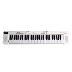 HUASHENG 61 키 라이트 업 전기 오르간 키보드 악기 교육 기능 디지털 디스플레이 전기 피아노 장난감