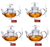 Théière en verre 800ml/1000ml avec infuseur amovible, compatible cuisinière, écologique, design original pour thé en vrac et thé fleuri