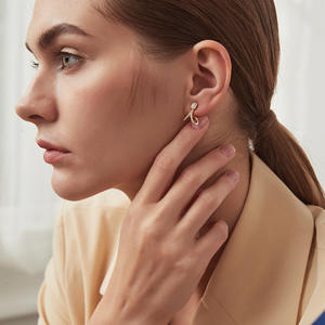 تصميم جديد مجوهرات راقية مطلية بالذهب عيار 18 قيراط فضة إسترليني ترصيع من الزركون أقراط مرصعة بالعظام المتعرجة للنساء - Product Image 3