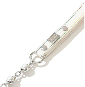Nouvelle laisse pour chien de compagnie Laisse pour animal de compagnie en chaîne de fer - Product Image 6