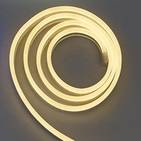 Bande lumineuse fluo led flexible, étanche IP65, 12V, 8x16MM, simple face, blanc chaud, 3000K, pour enseigne au néon