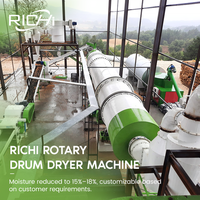 Sécheuse à granulés de sciure de bois RICHI - Sécheuse à sciure de bois entièrement automatique 1-2t/h - Prix