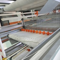 Nouveau système de collecte d'œufs automatique multifonctionnel pour poules pondeuses, cage à poulets de 96 à 160 couches, pour élevage avicole