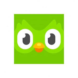 Cuenta Global de Duolingo, Duolingo Premium, Duolingo Super, 1 Año, 1, 3, 6, 12 Meses, Vincula tu Cuenta - Product Image 1