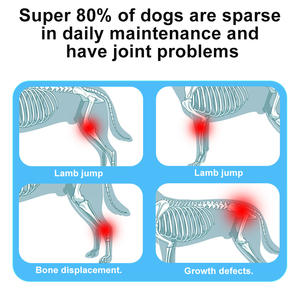 Duan Xiaofu suplemen kesehatan nutrisi tulang hiu untuk anjing membantu melindungi sendi memperbaiki peradangan dan merampingkan kaki - Product Image 6