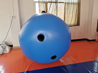 Costume gonflable bleu de boule de myrtille de PVC nouvelle forme annonçant des gonflables