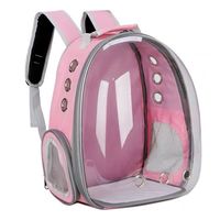 Sac à dos pour chat grande capacité, transparent, respirant, en PVC, accessoires pour animaux de compagnie