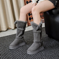 Bottes de neige à talon dissimulé pour femme, style double usage, nouvelle collection automne/hiver 2026, bottes longues en daim super tendance à semelle épaisse et chaudes
