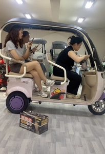 Bon prix, tricycle Sidaner modèle Q5, moyeu arrière sans balais, aluminium, acier inoxydable, batterie au plomb-acide 48V 20Ah 1000W/600W/800W - Product Image 5