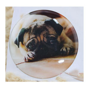 Accepter une commande personnalisée Design professionnel Autocollant époxy souple adhésif durable non jaune de haute qualité Promotion - Product Image 3