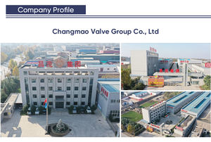 Joint de dilatation en caoutchouc pour coude : un connecteur de pipeline à double fonction pour <span class=keywords><strong>changement</strong></span> de direction et compensation de déplacement - Product Image 6