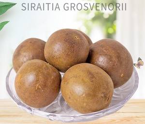 Alta qualidade puro monge fruta extrato líquido natural adoçante açúcar substitutos monge fruta concentrado suco - Product Image 4