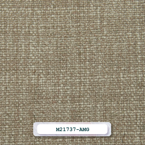M21737-AMG