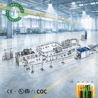 Ligne de remplissage de boissons gazeuses de qualité supérieure 10000BPH DCGF32-32-10 avec système CIP intégré pour la production de boissons gazeuses