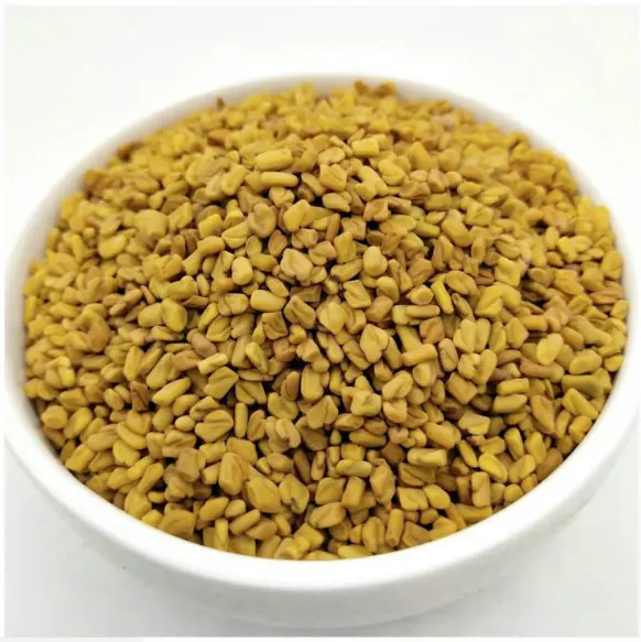 Hu lu ba wholesale price Chinese organic dried fenugreek for oil