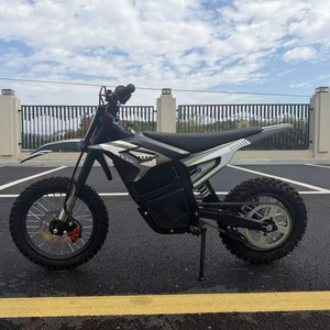 Nouvelle moto tout-terrain à moteur 1000W haute performance, moto électrique tout-terrain, moto - Product Image 1