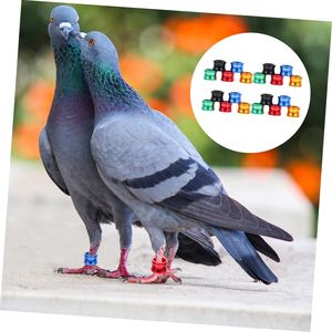 Bagues de patte en aluminium de 8 mm pour oiseaux, pour l'entraînement au vol des pigeons et des colombes - Product Image 5